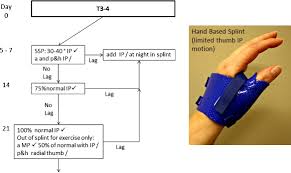 Image result for Hand Extensor Tendon Injury