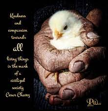 Kindness And Compassion Towards All Living Things Is The Mark Of A Civilized Society Cesar Chavez Animal Rights Quotes Compassion Animals