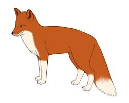 3.draw the outline of the fox's body. How To Draw A Fox Fox Drawing Fox Drawing Tutorial Animal Drawings