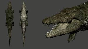Artstation Crocodile 3d Model Fernando Usabiaga Bustos 3d Model Jurassic Park Model