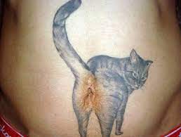 Cat Portrait Tattoos Cute Cat Tattoo Cat Lover Tattoo