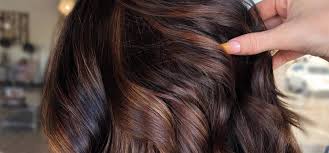 brown hair colours chocolate bronze ash brown and more