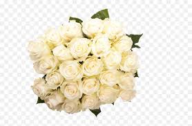 Flower vector png transparent image. A Bouquet Of White Roses Flower Bouquet Png Free Transparent Png Images Pngaaa Com