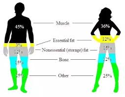Body fat can be dangerous to health, though, when it goes beyond a certain level. What Is Having A Body Fat Percentage Of 30 On A Woman Equivalent To On A Man Quora
