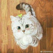 Wallpaper hewan laptop cambang kulit anak kucing. Kucing Lucu Alessandria387 Profil Pinterest