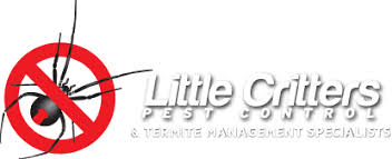 Situated in the sunshine coast we are able to cover the sunshine coast region including gympie, castaways beach, noosa, alexandria headland since our merger with enviropest and amalgamated pest control, this has allowed us to expand our service increasing our ability to provide premier. Pest Control Sunshine Coast Termite Inspections Management