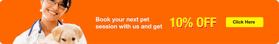 How can i find out? Online Pet Shop In Dubai Pet Corner Best Pet Shop In Dubai