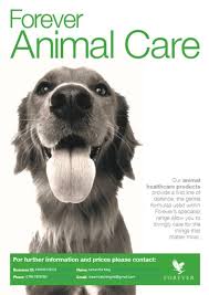 Forever Animal Care Our Animal Healthcare Products Provide A First Line Of Defence The Gentle Formulas Used Within Forever Dieren Dierenverzorging Huisdieren