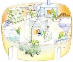 This is analogous to the functioning of a cell (figure 10.5) as seen in the following mapping. Labeling The Cell Factory Analogy Diagram Quizlet