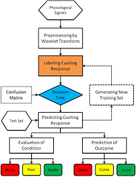 Image result for Cushing Response