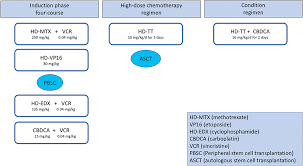 Check spelling or type a new query. Frontiers Use Of High Dose Chemotherapy In Front Line Therapy Of Infants Aged Less Than 12 Months Treated For Aggressive Brain Tumors Pediatrics