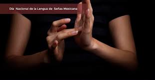 Y hacen algunas señas y gestos con las manos para ayudarle a entender. Dia Nacional De La Lengua De Senas Mexicana Lsm Consejo Nacional Para El Desarrollo Y La Inclusion De Las Personas Con Discapacidad Gobierno Gob Mx