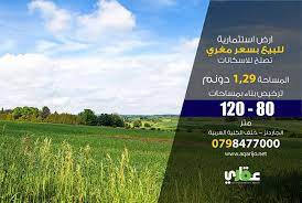 ارض للبيع بسعر مغري جدا تصلح للاسكانات الموقع الجاردنز خلف الكلية العربية للتواصل 0798477000 المساحة دونم و 2 Screenshots Desktop Screenshot Desktop