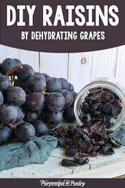 You may store your raisins in metal. Pin On Recipes Proteins