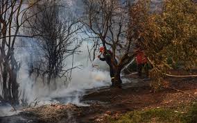 Αναζήτησε κατοικίες στο spitogatos.gr και επίλεξε κριτήρια όπως τετραγωνικά, μέγιστη τιμή! Se Yfesh H Megalh Pyrkagia Stis Robies Eyboias