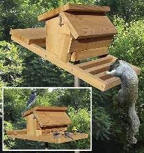 Squirrels are the bane of many bird feeders, but this simple design using just pvc and a plastic jug can keep those rodents out of the food you set out. Meisel Hardware Specialties