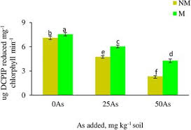 Stream tracks and playlists from saleem gill on your desktop or mobile device. Arbuscular Mycorrhiza Improves Photosynthesis And Restores Alteration In Sugar Metabolism In Triticum Aestivum L Grown In Arsenic Contaminated Soil Plant Science Frontiers
