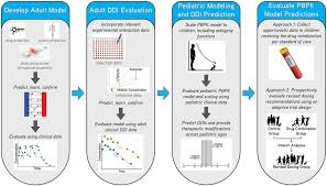 In addition, some of the drugs listed here could be substrates of flockhart da. Application Of Physiologically Based Pharmacokinetic Pbpk Modeling Download Scientific Diagram