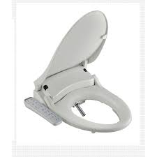 Feel fresh and clean with a bidet seat that's built to last. Daewon Electronic Warm Water Bidet Dib J430 Bidetworld