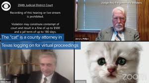 A zoom court hearing in texas took a detour when an attorney showed up looking like a kitten. I M Not A Cat Tx Attorney Flustered By Kitten Filter On Zoom Khou Com