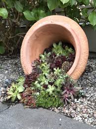 Pin Von Christel Spreitz Auf Garten Deko Garten Deko Garten Sukkulenten