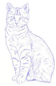 162 27 cat kitten ball cute. How To Draw A Realistic Cat Draw Step By Step Realistic Cat Drawing Realistic Drawings Animal Drawings