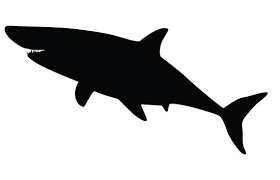 Catfish Clip Art Drone Fest Sharks are a group of elasmobranch fish characterized by a cartilaginous skeleton, five to seven gill slits on the many shark populations are threatened by human activities. catfish clip art drone fest