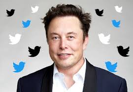 Elon Musk bientôt en guerre juridique avec les employés licenciés de  Twitter ?