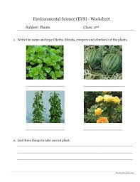 environmental science evs plants worksheet class ii plants worksheets plants environmental science