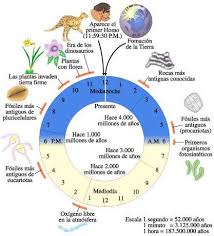 Procariotas Y Eucariotas Biologia Origen De La Tierra Biologia Historia De La Tierra