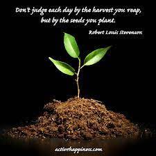 Judge Each Day Not By The Harvest You Reap But By The Seeds You Plant Robert Louis Stevenson Plants Harvest Robert Louis