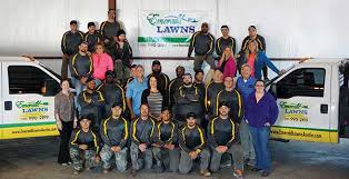 Dt lawn service, victory mowing, llc, artistic's landscaping, rc's lawn care, the mean green team. Lawn Care The Right Way