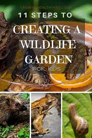 11 Steps To Creating A Wildlife Garden With Kids With Spring Coming Bringing Lighter Days Finally I Bet You Re Wondering How You Re Going To Keep Your Kids E Gardening For Kids