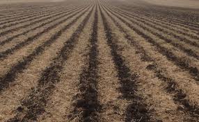 How does monoculture make crops more susceptible to pests and diseases? What Is Regenerative Agriculture Renature