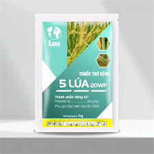 5 Lua 20WP