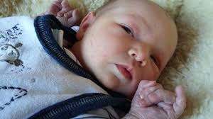 Ostelsheimer Läufer