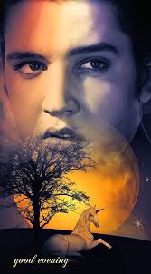 Good Evening! See You Tomorrow! Sweets dreams for all@s #ElvisFriends  #elvishistory #elvisconcerts #elvismusic #nights