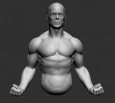 All tutorials were done in photoshop cc. Male Upper Body Anatomy Stlfinder