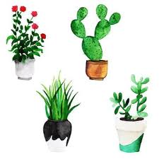 See more ideas about watercolor cactus, watercolor, watercolor paintings. Yboz Jfpj0nlzm