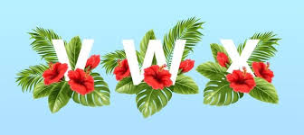 Hibiskus mit bewertung 4444 hibiskus tattoos von tattoo bewertung de. Hand Die Den Buchstaben D Halt Kostenlose Foto