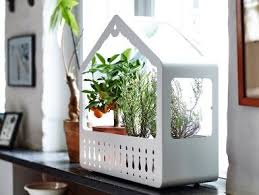 Fur Jeden Stil Mini Gewachshaus Von Ikea Bild 2 Mini Gewachshaus Ikea Gewachshaus Gewachshaus