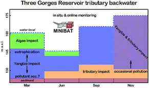 Water is the body's transportation and sanitation system. Environmental Water Body Characteristics In A Major Tributary Backwater Of The Unique And Strongly Seasonal Three Gorges Reservoir China Environmental Science Processes Impacts Rsc Publishing