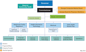 36 Meticulous Health Care Organizational Chart