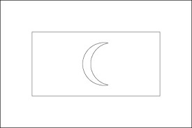 The green rectangle in the center. Maldives Flag Flag Of Maldives