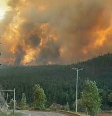 The white rock lake fire continues to burn out of control. Re00nnm6 Ep6am