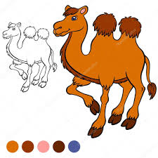 Zentangle stylized camel and flowers. Coloring Page Color Me Camel Cute Camel Stands And Smiles Premium Vector In Adobe Illustrator Ai Ai Format Encapsulated Postscript Eps Eps Format