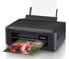 Windows 10 (32/64 bit) windows 8.1 (32/64 bit) windows 8 (32/64 bit) windows 7 sp1 (32/64bit) windows vista sp2 (32/64bit). Epson Expression Home Xp 245 Printer Driver Download