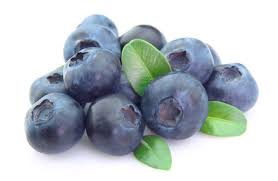 America's largest online plant nursery. Highbush Blueberries
