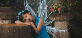 Willow's World Project