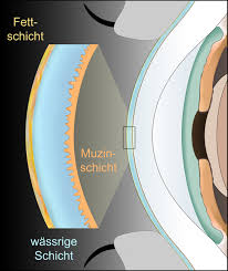 Trockenes Auge Augenarzt Munchen Neuhann Munchen